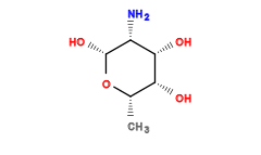C[C@@H]1O[C@H](O)[C@H](N)[C@H](O)[C@@H]1O