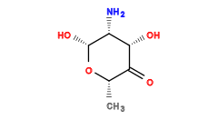 C[C@@H]1O[C@H](O)[C@H](N)[C@H](O)C1=O