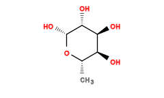 C[C@@H]1O[C@H](O)[C@H](O)[C@@H](O)[C@H]1O