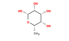 C[C@@H]1O[C@H](O)[C@H](O)[C@H](O)[C@@H]1O