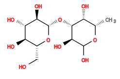 C[C@@H]1OC(O)[C@@H](O)[C@H](O[C@@H]2O[C@H](CO)[C@@H](O)[C@H](O)[C@H]2O)[C@@H]1O