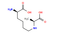C[C@H](NCCCC[C@@H](N)C(=O)O)C(=O)O