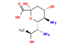 C[C@H](O)[C@@H](N)[C@@H]1O[C@@](O)(C(=O)O)C[C@H](O)[C@H]1N
