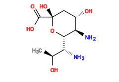 C[C@H](O)[C@@H](N)[C@@H]1O[C@](O)(C(=O)O)C[C@H](O)[C@H]1N