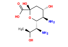 C[C@H](O)[C@H](N)[C@@H]1O[C@](O)(C(=O)O)C[C@H](O)[C@H]1N