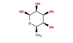 C[C@H]1O[C@@H](O)[C@@H](O)[C@@H](O)[C@H]1O