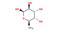C[C@H]1O[C@@H](O)[C@@H](O)[C@H](O)[C@@H]1O