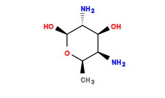 C[C@H]1O[C@@H](O)[C@H](N)[C@@H](O)[C@H]1N