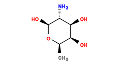 C[C@H]1O[C@@H](O)[C@H](N)[C@@H](O)[C@H]1O