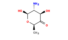 C[C@H]1O[C@@H](O)[C@H](N)[C@@H](O)C1=O