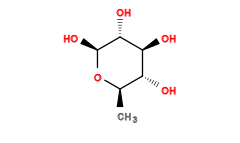 C[C@H]1O[C@@H](O)[C@H](O)[C@@H](O)[C@@H]1O