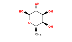 C[C@H]1O[C@@H](O)[C@H](O)[C@@H](O)[C@H]1O
