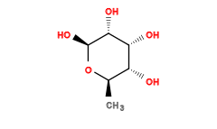 C[C@H]1O[C@@H](O)[C@H](O)[C@H](O)[C@@H]1O