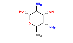 C[C@H]1O[C@H](O)[C@@H](N)[C@H](O)[C@@H]1N