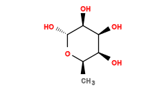 C[C@H]1O[C@H](O)[C@@H](O)[C@@H](O)[C@H]1O