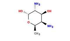 C[C@H]1O[C@H](O)[C@H](N)[C@@H](O)[C@H]1N