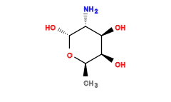 C[C@H]1O[C@H](O)[C@H](N)[C@@H](O)[C@H]1O