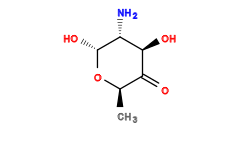 C[C@H]1O[C@H](O)[C@H](N)[C@@H](O)C1=O