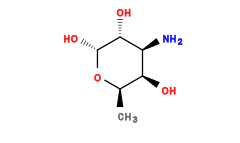 C[C@H]1O[C@H](O)[C@H](O)[C@@H](N)[C@H]1O