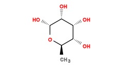 C[C@H]1O[C@H](O)[C@H](O)[C@H](O)[C@@H]1O