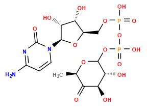 C[C@H]1OC(OP(=O)(O)OP(=O)(O)OC[C@H]2O[C@@H](n3ccc(N)nc3=O)[C@H](O)[C@@H]2O)[C@H](O)[C@@H](O)C1=O
