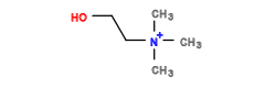 C[N+](C)(C)CCO