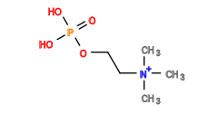 C[N+](C)(C)CCOP(=O)(O)O