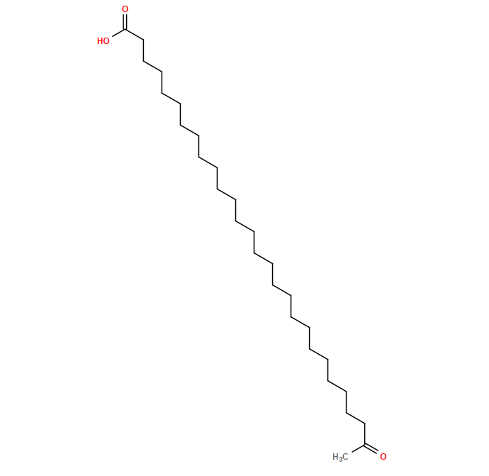 CC(=O)CCCCCCCCCCCCCCCCCCCCCCCCCC(=O)O