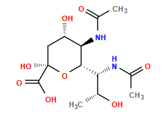 CC(=O)N[C@@H]([C@@H]1O[C@@](O)(C(=O)O)C[C@H](O)[C@H]1NC(C)=O)[C@@H](C)O