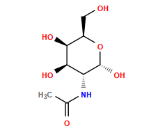CC(=O)N[C@@H]1[C@@H](O)[C@@H](O)[C@@H](CO)O[C@@H]1O