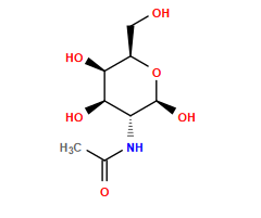 CC(=O)N[C@@H]1[C@@H](O)[C@@H](O)[C@@H](CO)O[C@H]1O