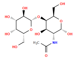 CC(=O)N[C@@H]1[C@@H](O)[C@@H](O[C@@H]2O[C@H](CO)[C@H](O)[C@H](O)[C@H]2O)[C@@H](CO)O[C@@H]1O