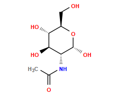 CC(=O)N[C@@H]1[C@@H](O)[C@H](O)[C@@H](CO)O[C@@H]1O
