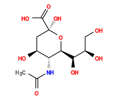 CC(=O)N[C@@H]1[C@@H](O)C[C@@](O)(C(=O)O)O[C@H]1[C@H](O)[C@H](O)CO