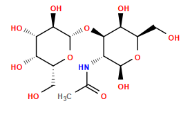 CC(=O)N[C@@H]1[C@@H](O[C@@H]2O[C@H](CO)[C@H](O)[C@H](O)[C@H]2O)[C@@H](O)[C@@H](CO)O[C@H]1O