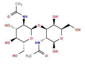 CC(=O)N[C@@H]1[C@@H](O[C@H]2O[C@H](CO)[C@@H](O)[C@H](O)[C@H]2NC(C)=O)[C@@H](O)[C@@H](CO)O[C@H]1O