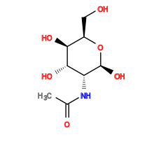 CC(=O)N[C@@H]1[C@H](O)[C@@H](O)[C@@H](CO)O[C@H]1O