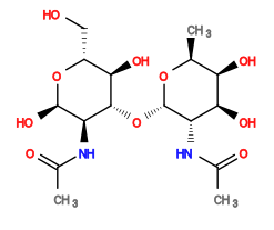 CC(=O)N[C@@H]1[C@H](O[C@H]2[C@H](O)[C@@H](CO)O[C@H](O)[C@@H]2NC(C)=O)O[C@@H](C)[C@@H](O)[C@H]1O