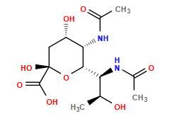 CC(=O)N[C@H]([C@@H]1O[C@](O)(C(=O)O)C[C@H](O)[C@@H]1NC(C)=O)[C@H](C)O