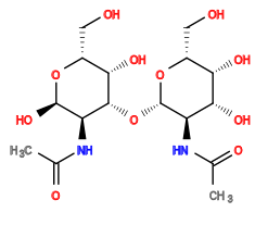 CC(=O)N[C@H]1[C@@H](O)O[C@H](CO)[C@H](O)[C@@H]1O[C@@H]1O[C@H](CO)[C@H](O)[C@H](O)[C@H]1NC(C)=O