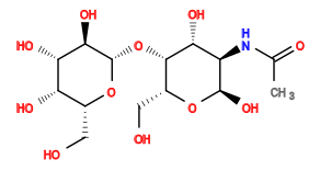 CC(=O)N[C@H]1[C@@H](O)O[C@H](CO)[C@H](O[C@@H]2O[C@H](CO)[C@H](O)[C@H](O)[C@H]2O)[C@@H]1O