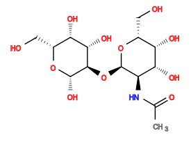 CC(=O)N[C@H]1[C@@H](O[C@@H]2[C@@H](O)[C@@H](O)[C@@H](CO)O[C@H]2O)O[C@H](CO)[C@H](O)[C@@H]1O