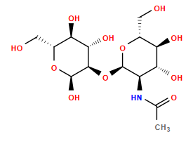 CC(=O)N[C@H]1[C@@H](O[C@@H]2[C@@H](O)[C@H](O)[C@@H](CO)O[C@@H]2O)O[C@H](CO)[C@@H](O)[C@@H]1O