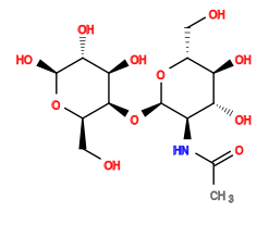 CC(=O)N[C@H]1[C@@H](O[C@H]2[C@@H](CO)O[C@@H](O)[C@H](O)[C@H]2O)O[C@H](CO)[C@@H](O)[C@@H]1O