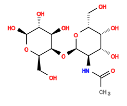 CC(=O)N[C@H]1[C@@H](O[C@H]2[C@@H](CO)O[C@@H](O)[C@H](O)[C@H]2O)O[C@H](CO)[C@H](O)[C@@H]1O