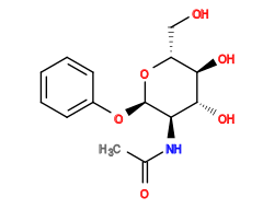 CC(=O)N[C@H]1[C@@H](Oc2ccccc2)O[C@H](CO)[C@@H](O)[C@@H]1O