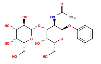 CC(=O)N[C@H]1[C@@H](Oc2ccccc2)O[C@H](CO)[C@H](O)[C@@H]1O[C@@H]1O[C@H](CO)[C@H](O)[C@H](O)[C@H]1O