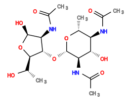 CC(=O)N[C@H]1[C@H](O)[C@@H](NC(C)=O)[C@H](O[C@H]2[C@H](NC(C)=O)[C@H](O)O[C@@H]2[C@H](C)O)O[C@@H]1C