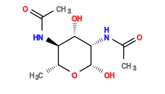 CC(=O)N[C@H]1[C@H](O)[C@H](NC(C)=O)[C@H](O)O[C@@H]1C