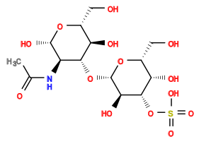 CC(=O)N[C@H]1[C@H](O)O[C@H](CO)[C@@H](O)[C@@H]1O[C@@H]1O[C@H](CO)[C@H](O)[C@H](OS(=O)(=O)O)[C@H]1O